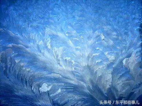 今天第一场雪视频,今天的第一场雪视频