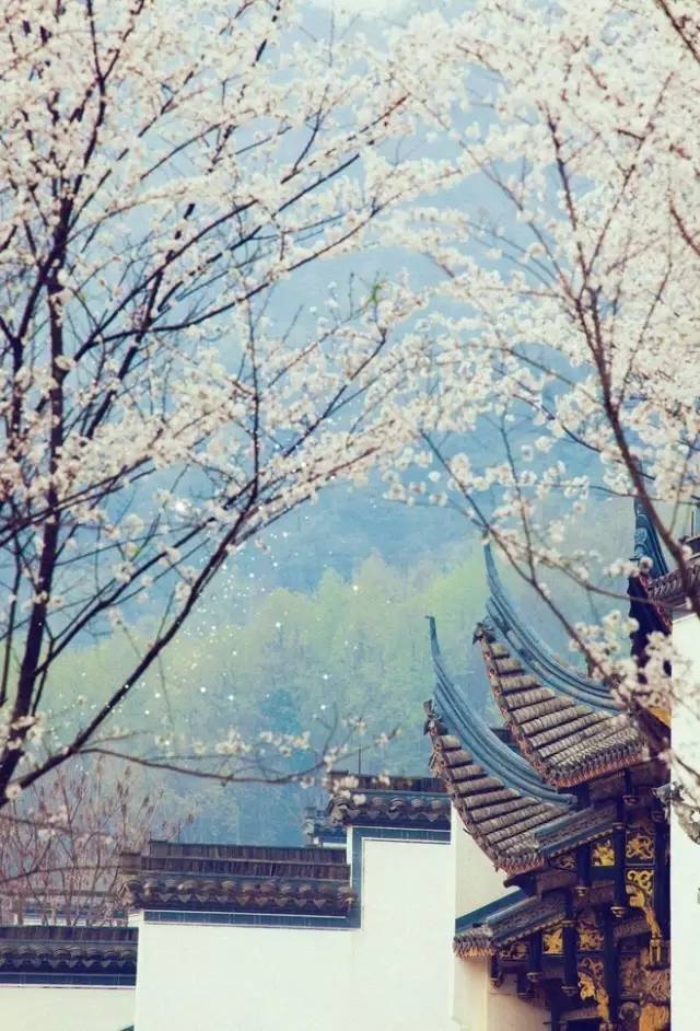 名人读书故事成语,历史故事四字词语成语大全