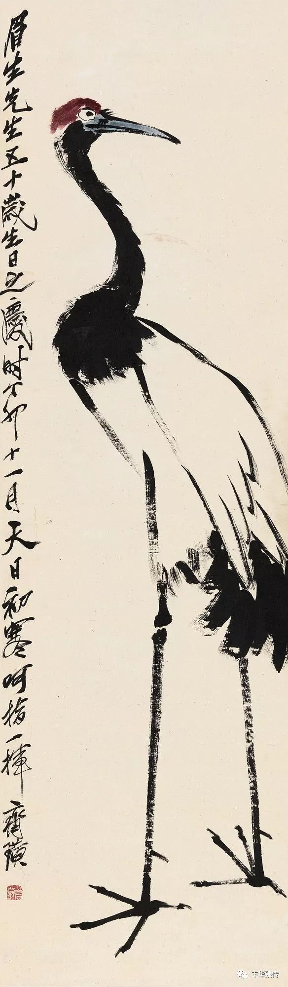 帽哥直播回放完整版最新,帽哥直播最新回放完整版