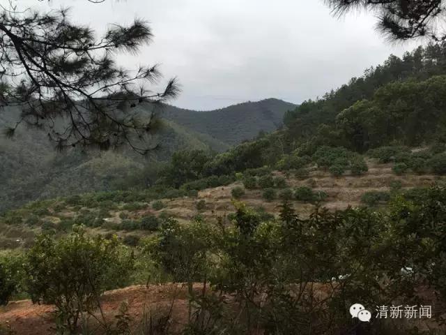 清远龙颈钟家村,龙颈镇钟家村