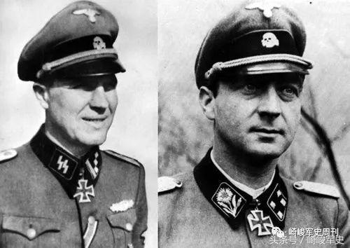 矢车菊凋谢在多瑙河畔：*党**卫军第22“玛丽亚·特蕾莎”骑兵师简史