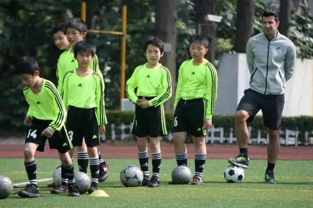 胜利联盟多地院校停课、负责人消失，火热体育培训迎来严峻挑战