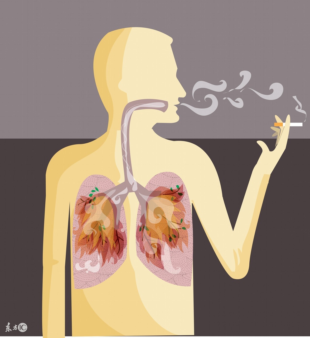 肺癌的十大误区,关于肺癌的八大误区千万别中招了