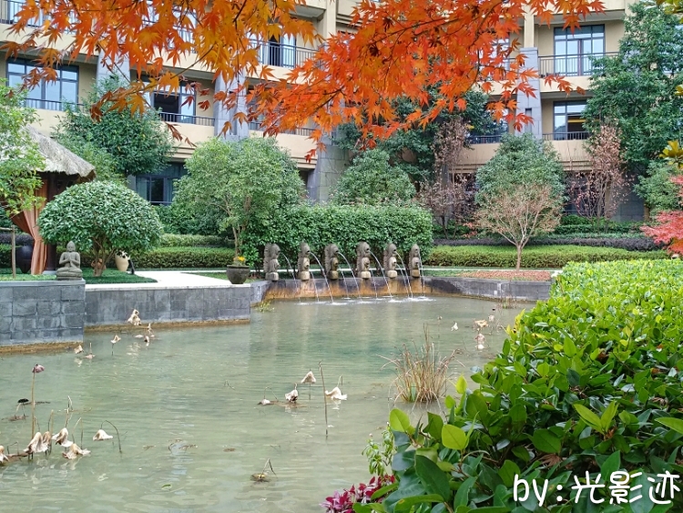 临安湍口众安温泉池,临安温泉湍口温泉测评