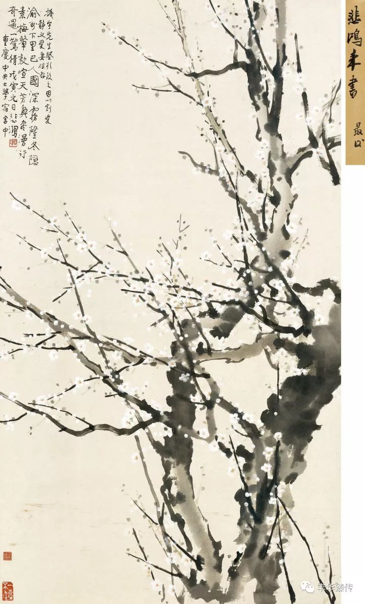 帽哥直播回放完整版最新,帽哥直播最新回放完整版