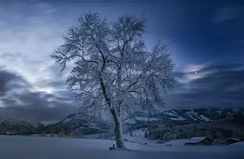 双语说天气丨雪是冬天的礼物