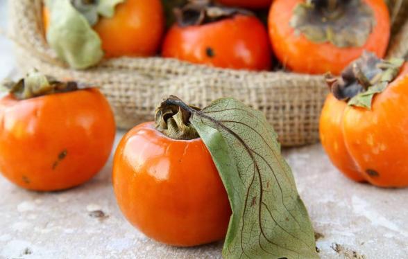肺热的人吃什么食物好,肺热适合吃什么食物