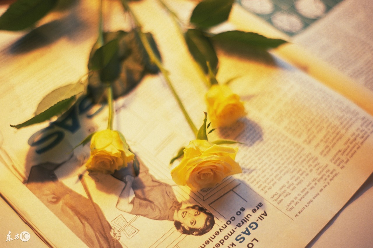 适合发朋友圈的日常生活语录,最适合发朋友圈的心灵感悟