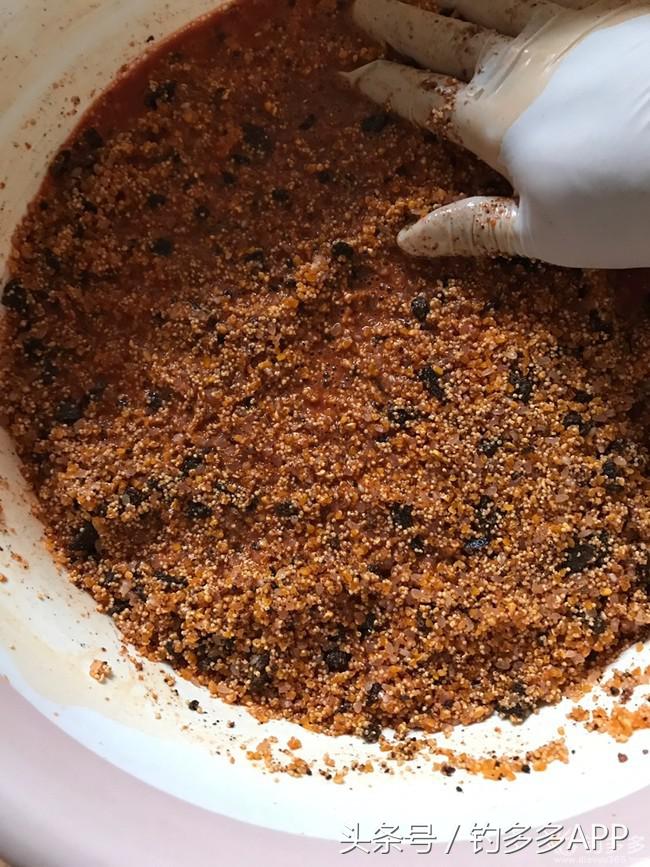 钓鱼圈天赋,学钓鱼从零开始野钓选鱼钩