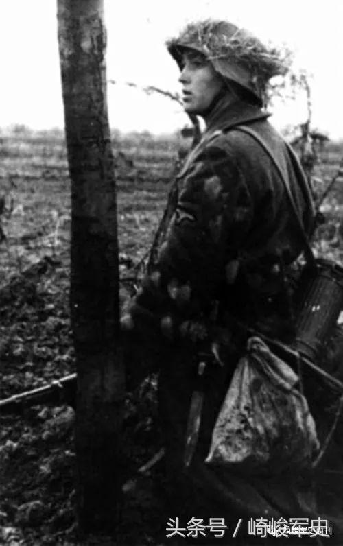 矢车菊凋谢在多瑙河畔：*党**卫军第22“玛丽亚·特蕾莎”骑兵师简史