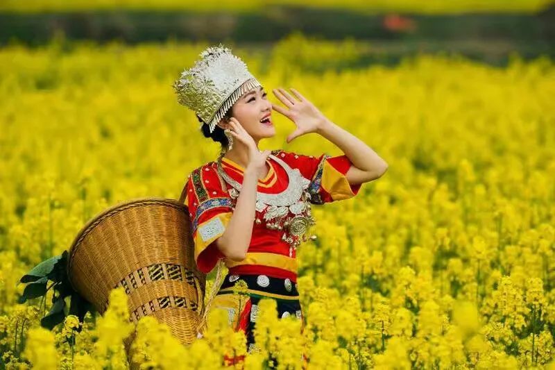 致高三学子的诗,新诗采撷