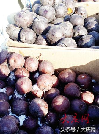 大庆市水果批发市场,冷冷清清惨淡的水果市场