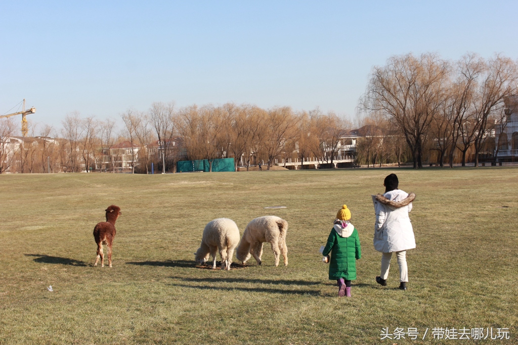 奥森附近小动物乐园,奥森公园世外桃源