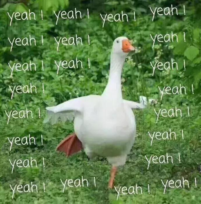 结婚的金首饰被偷了,结婚首饰在婆家丢了