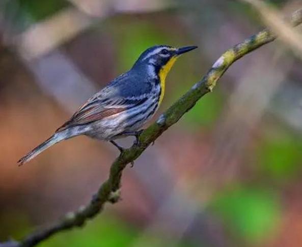 适合摄影爱好记录生活的相机,随时随地记录高清生活用什么拍摄