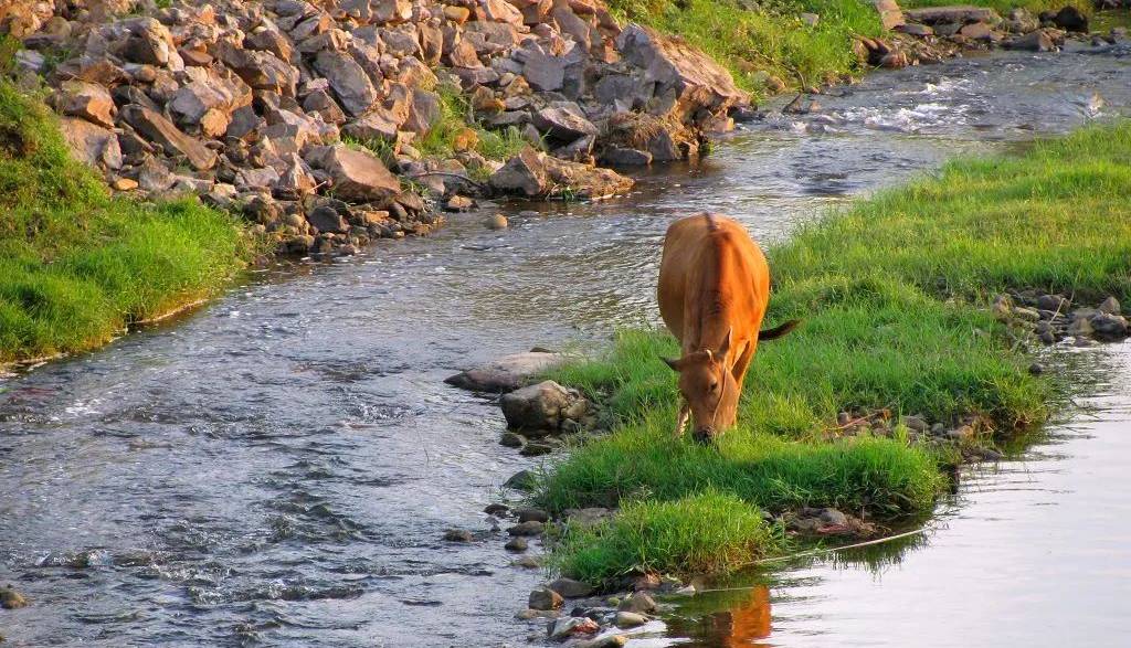 江西农民户口有什么政策,江西户籍留在江西工作有补贴吗