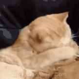 armani香水绝版,armani的香水和口红好吗