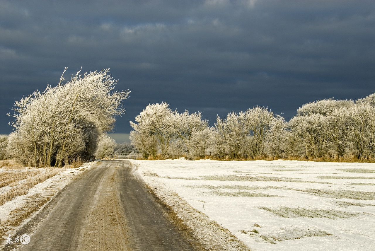 丹麦一年四季天气介绍,分享新西兰的日常生活
