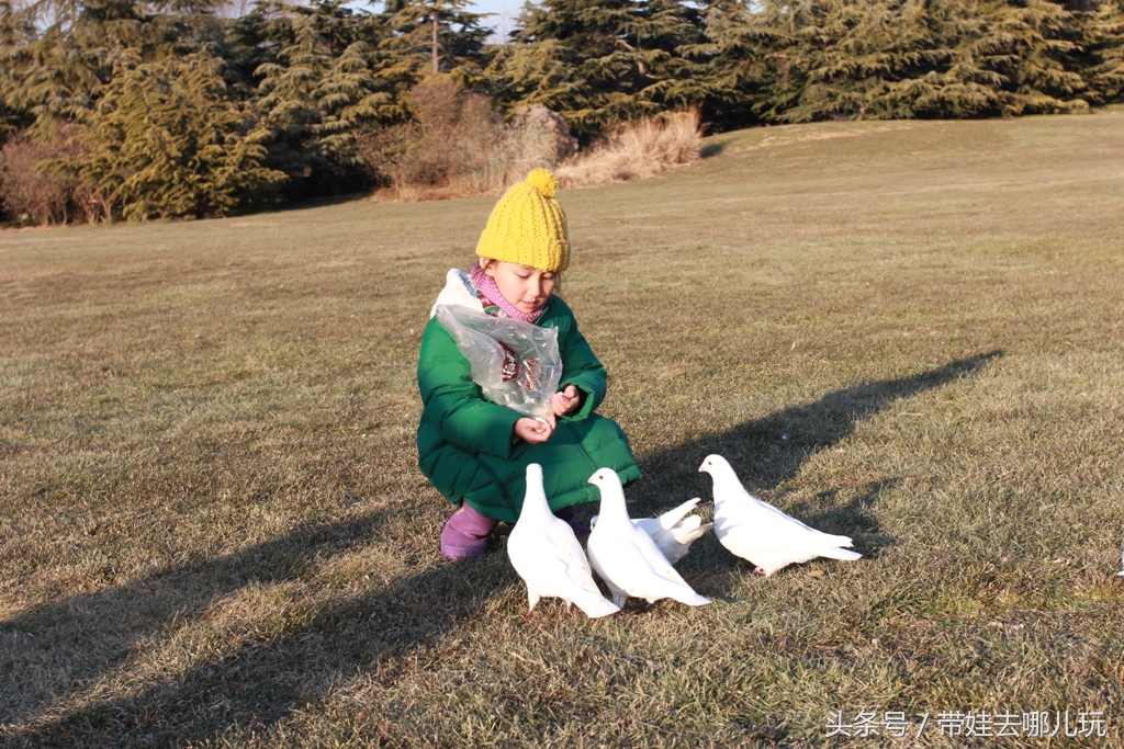 奥森附近小动物乐园,奥森公园世外桃源