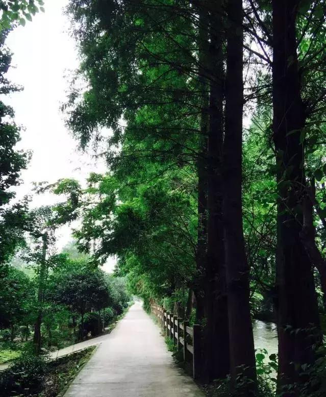 冬天成都两天来回得哪里去玩,成都3-5天短途旅游推荐