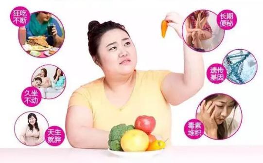 节食不仅不会变瘦反而会更胖,节食减肥一次就会变成易胖体质吗