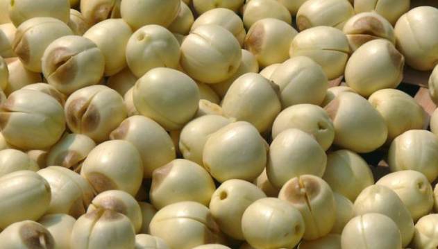 江西农民户口有什么政策,江西户籍留在江西工作有补贴吗