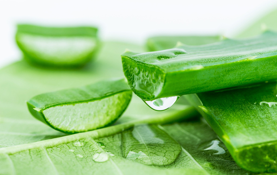 自然共和国芦荟胶功效是什么？祛痘印、补水、保湿？