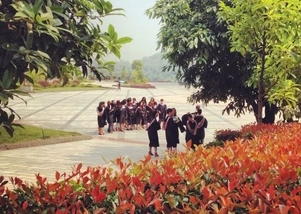 川外成都学院重庆,一个魔幻的佛系女子学院