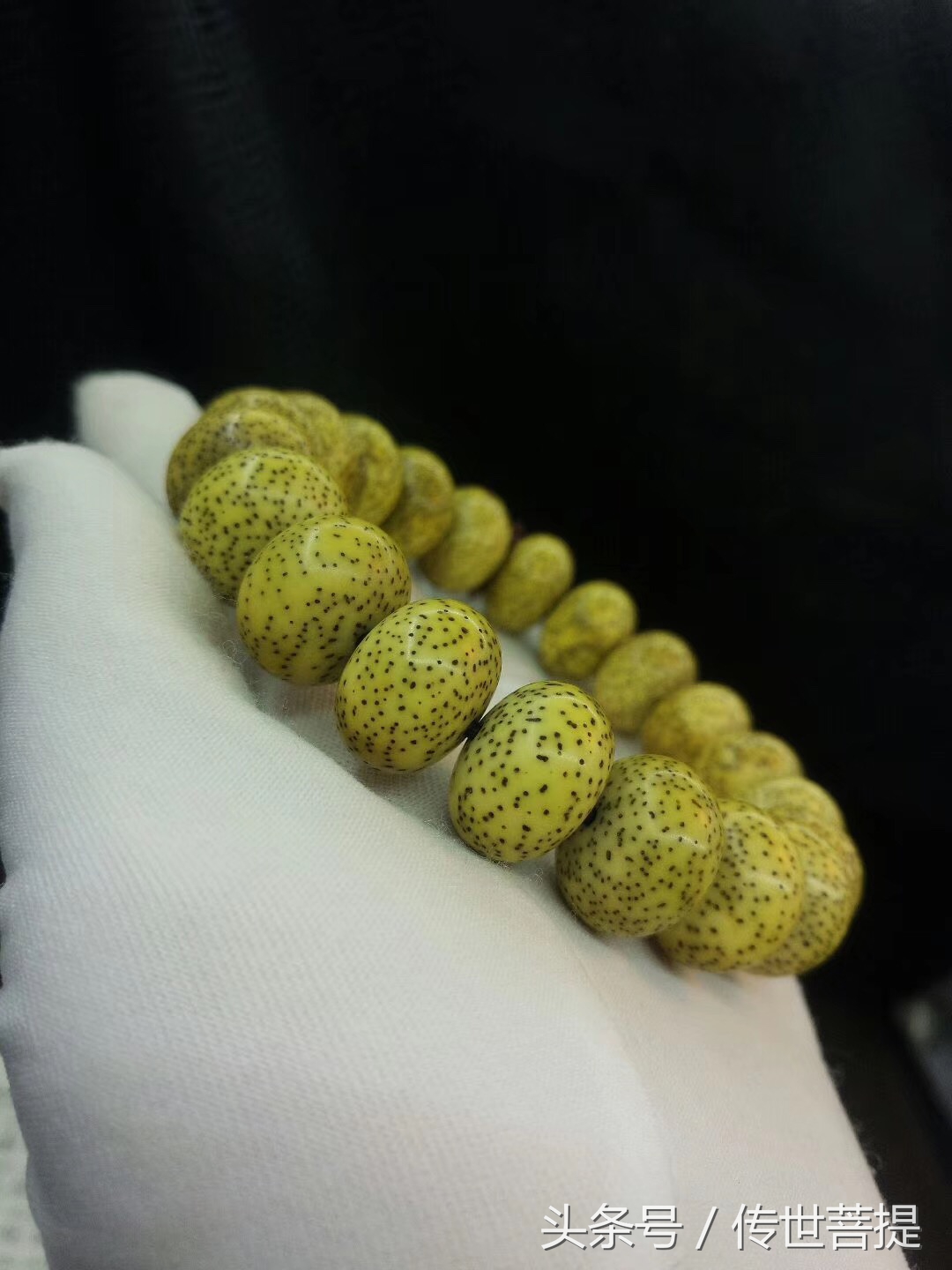 极品16*11黄金苹果圆手串，黑星老料小细星表面无连星完美无瑕