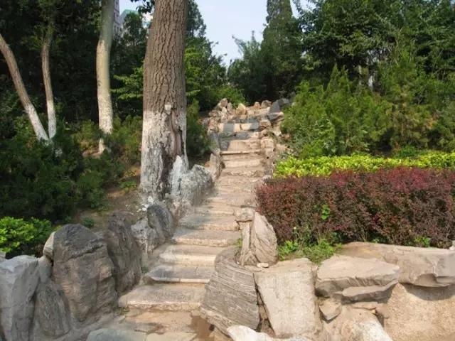 天津最值得去的公园排名榜前十,天津津南区值得游玩的公园