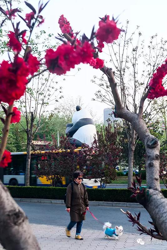 如果有人说“望京什么破地儿?”就把这条微信甩给他