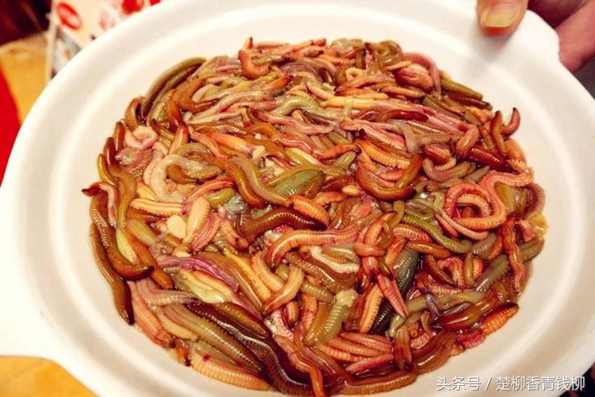 泥土里野生的美味,泥地里的野生美味