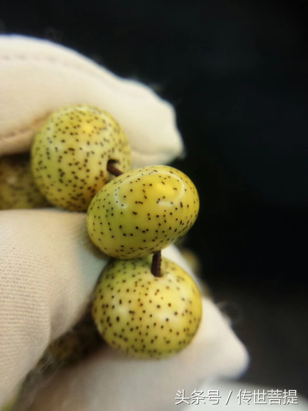 极品16*11黄金苹果圆手串，黑星老料小细星表面无连星完美无瑕