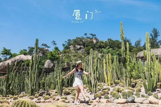 一起去厦门旅游攻略,旅游团厦门看海攻略