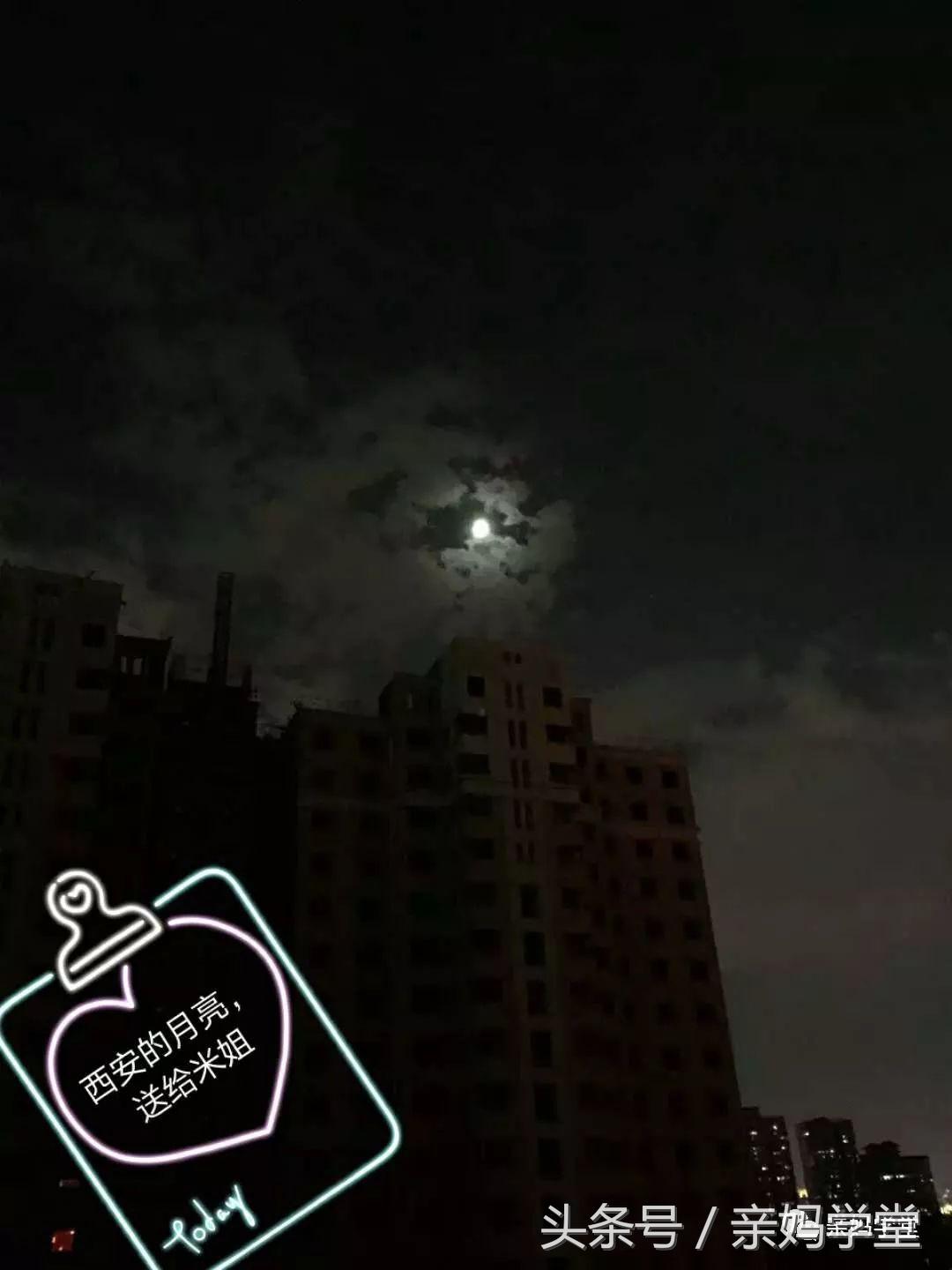 坚强独立的小米，给你比心