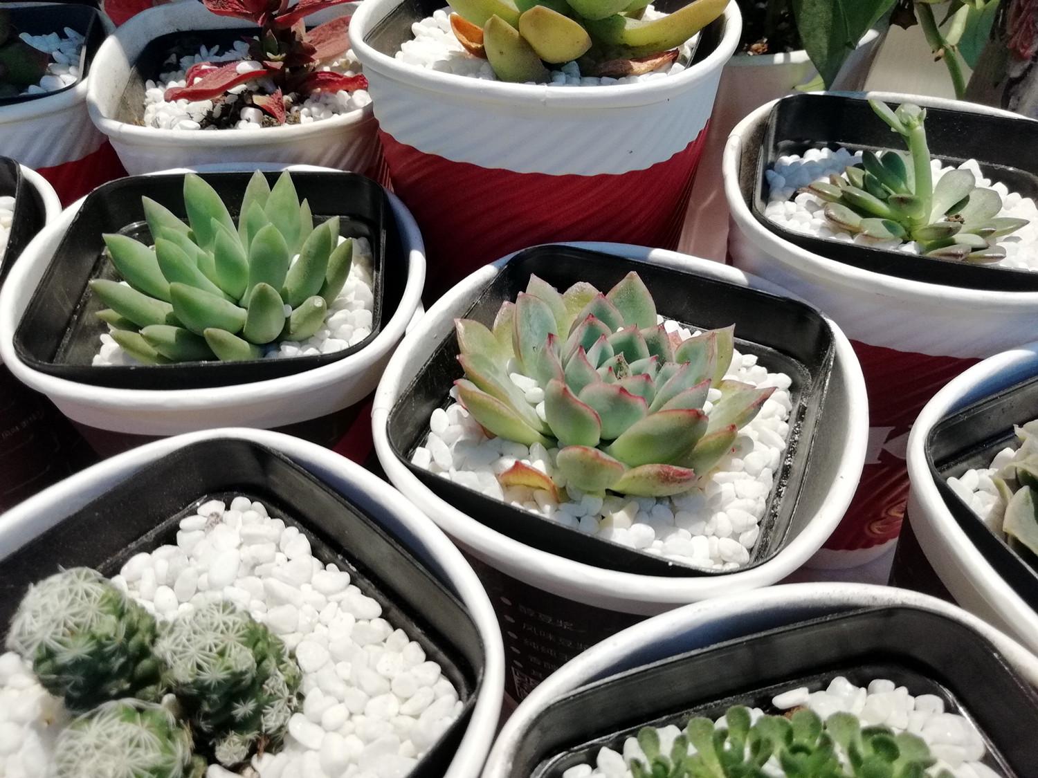 华为畅享7s最新消息9.0,华为手机畅享7s全面屏