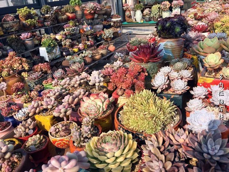 视觉盛宴美不胜收美图,视觉盛宴每个画面都美极了