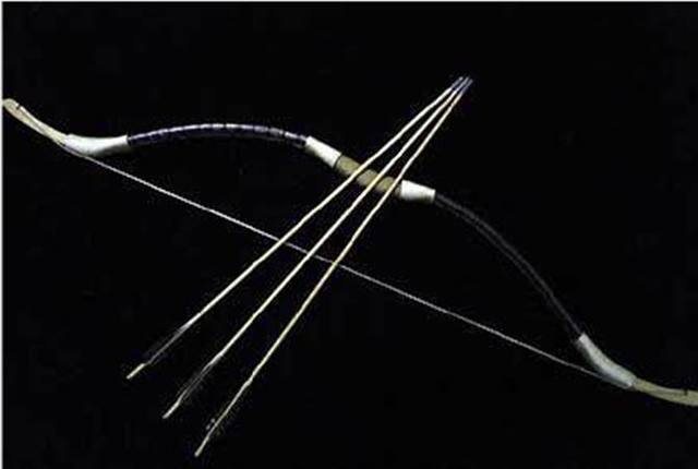 十大传统弓箭,亚马逊十大最强弓箭