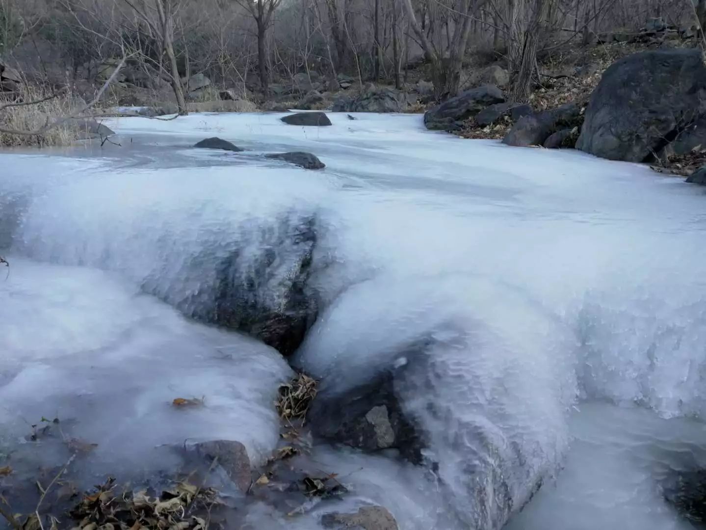 柳沟豆腐宴几个人最划算,柳沟豆腐宴几号最好吃