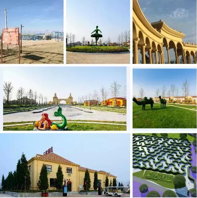 渭南葡萄园景区,渭南葡萄产业园观光游