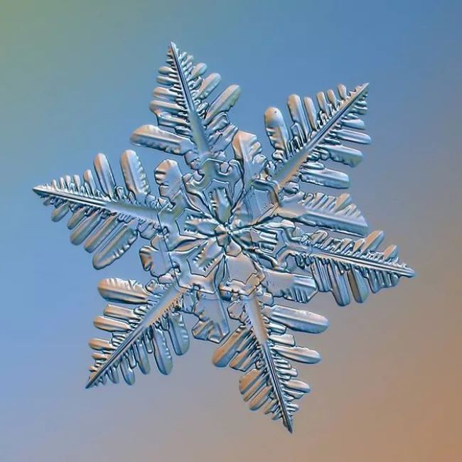 历时8年用微距镜头拍摄的雪花,超级微距拍摄雪花