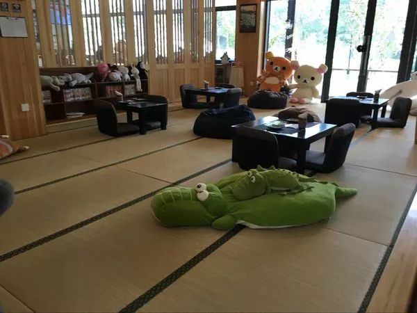 亲子推荐│蝶梦山丘—让蝶入梦、与蝶共舞