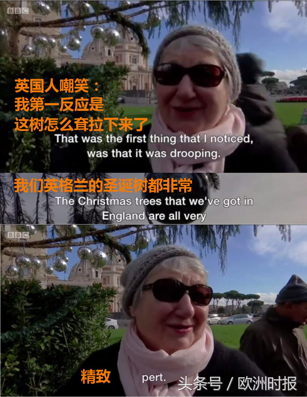 “全欧了”：罗马花高价买的圣诞树辣眼睛？干脆从义乌买吧