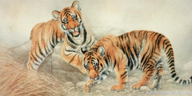 生肖属虎的人和什么生肖最般配,生肖虎适合和哪些生肖配对