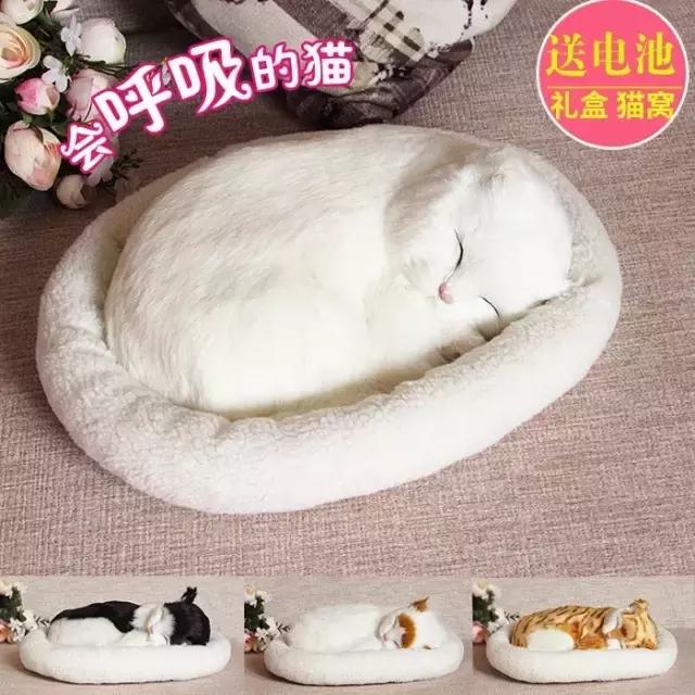 陶瓷摆件猫 (瓷摆件猫)