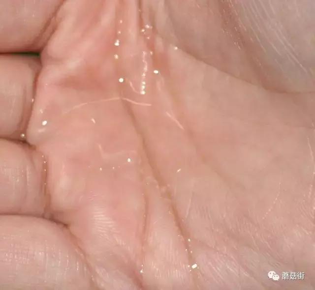 十大良心护肤水排行榜,十大公认最好的护肤水