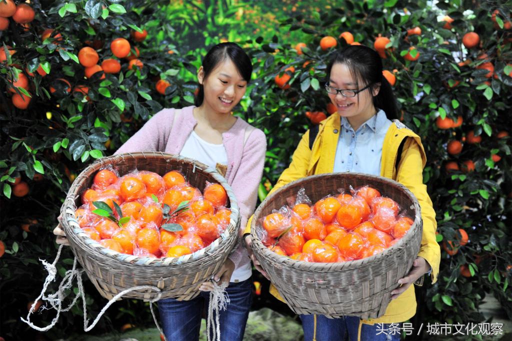 湖北未来的特色小镇,湖北最具民族特色村寨