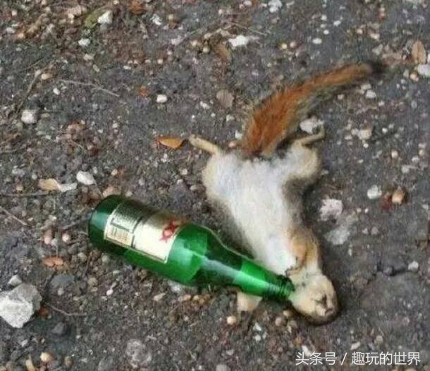 心跳加速睡不着了,心跳加速睡不着呕吐