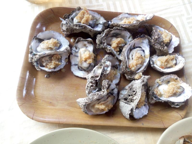 广东省沙扒湾游玩攻略,阳江沙扒湾游记