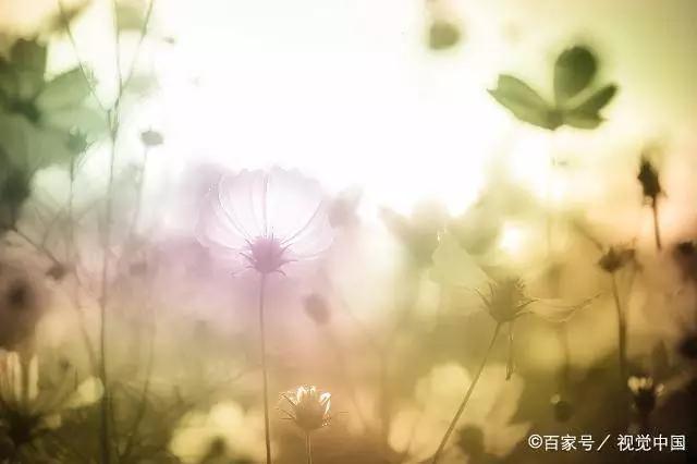 心理测试未来拥有什么,心理测试是否爱一个人